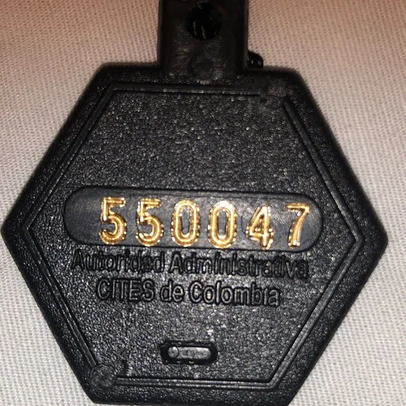 Red Crocodile Genuine Women's Wallet - Picture 6 of 10